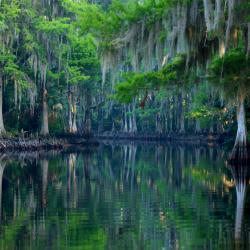 Indian River County - Taken by Ann Bernick Indian River County - Taken by Ann Bernick