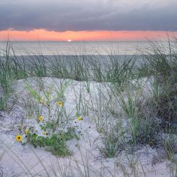 Pinellas County - Pinellas County Marketing and Communications Pinellas County - Pinellas County Marketing and Communications