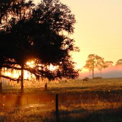 Hendry County - Taken by Miranda Davis Hendry County - Taken by Miranda Davis